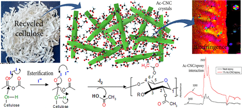 Highly Modified Cellulose Nanocrystals and Formation of Epoxy-Nanocrystalline Cellulose (CNC) Nanocomposites