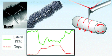Nanoscale electromechanical properties of template-assisted hierarchical self-assembled cellulose nanofibers