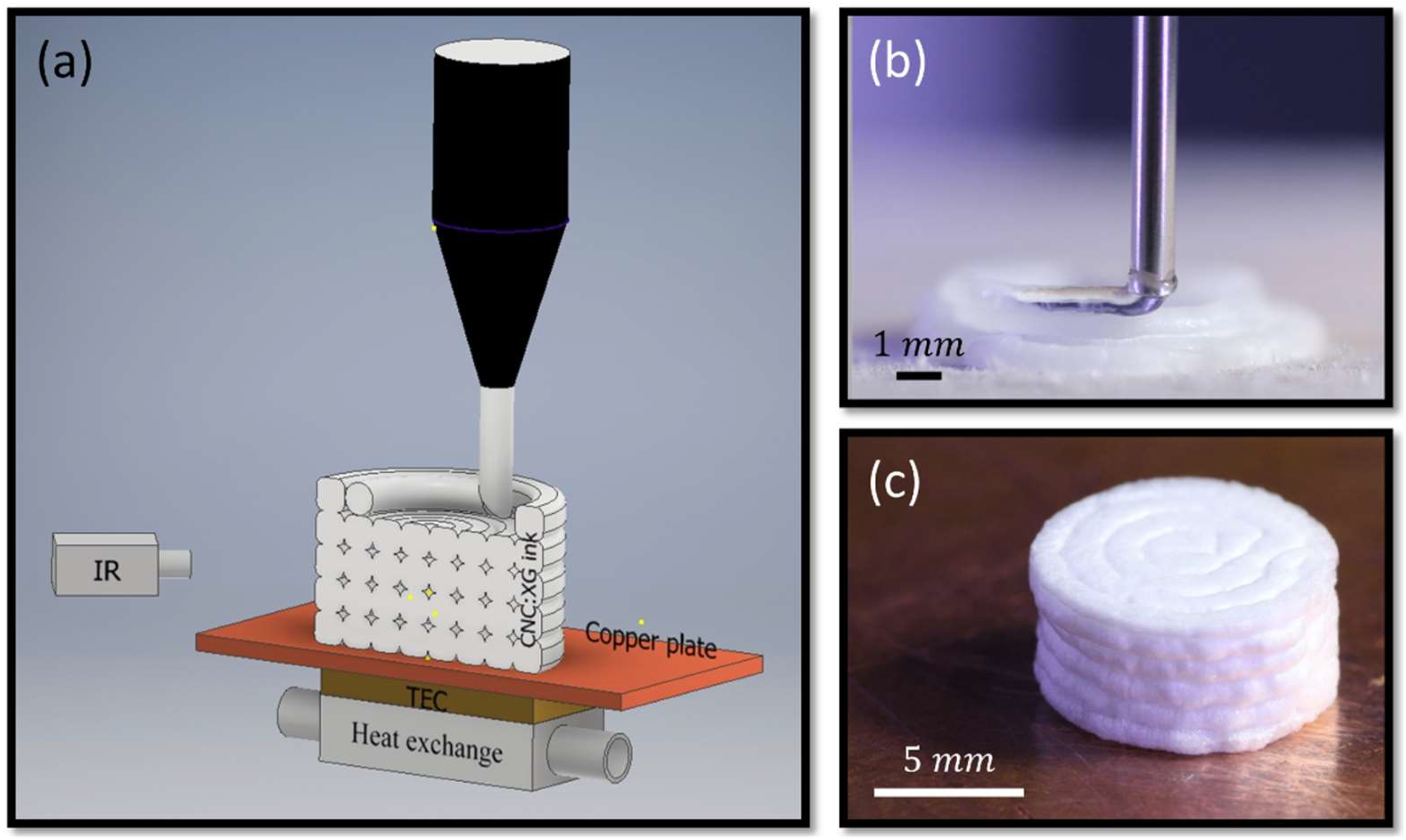 Direct Cryo Writing of Aerogels via 3D Printing of Aligned Cellulose Nanocrystals Inspired by the Plant Cell Wall