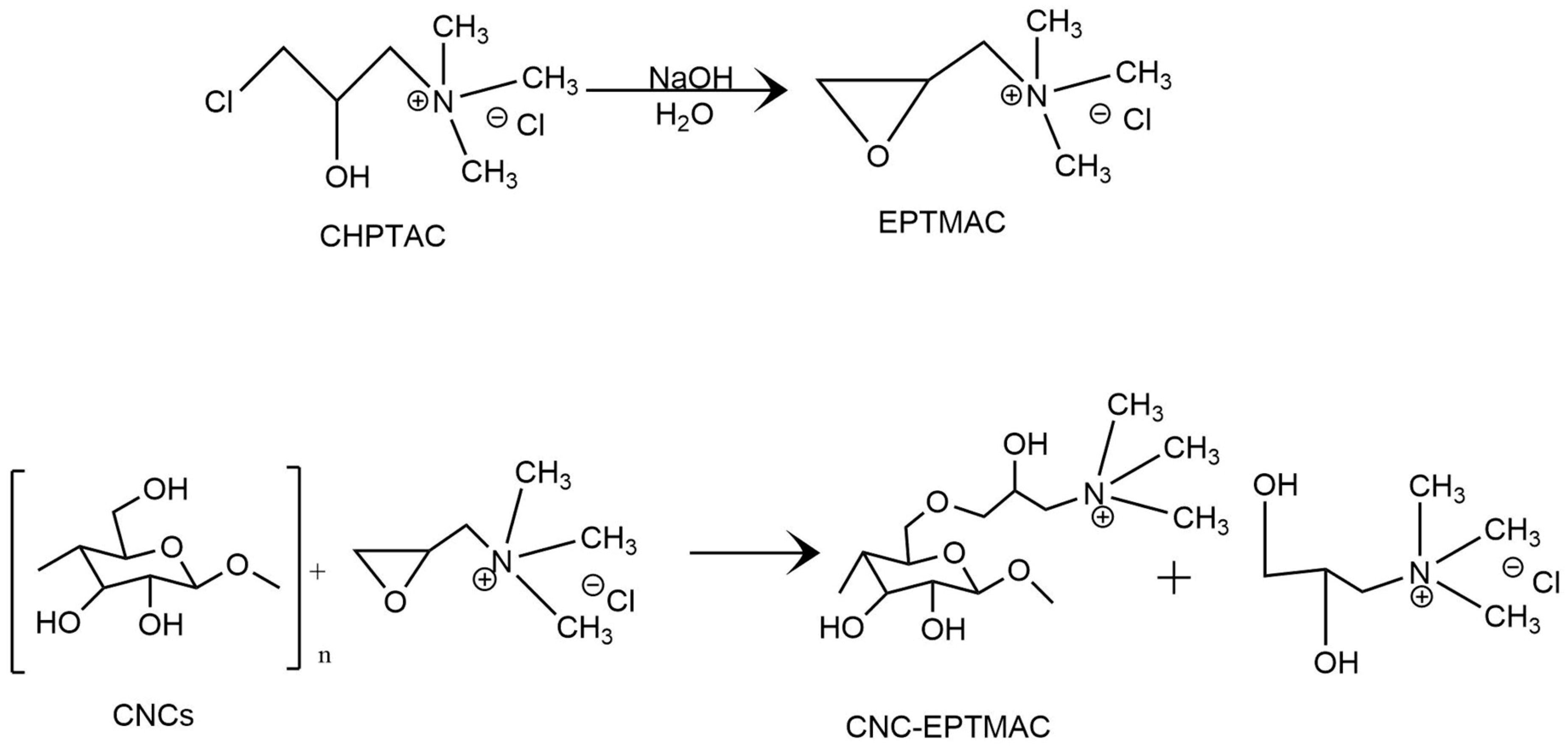 Highly Charged Cellulose Nanocrystals Applied as A Water Treatment Flocculant
