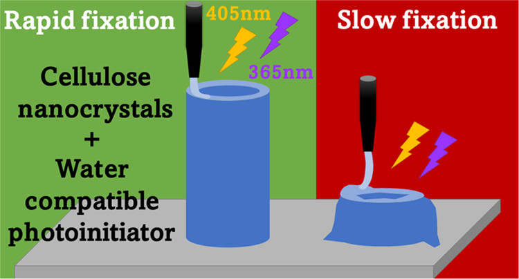 3D Printing of Cellulose Nanocrystal-Loaded Hydrogels through Rapid Fixation by Photopolymerization