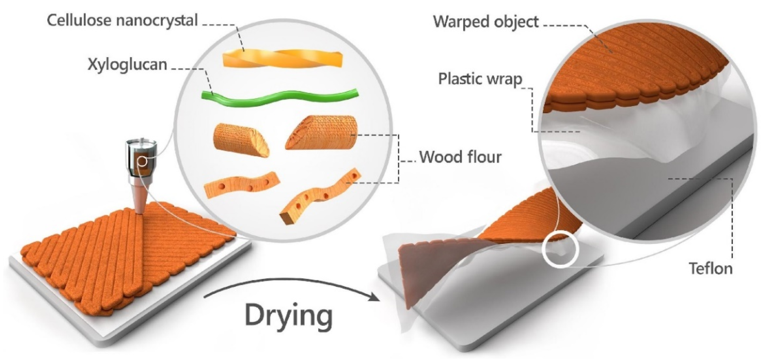 Wood Warping Composite by 3D Printing