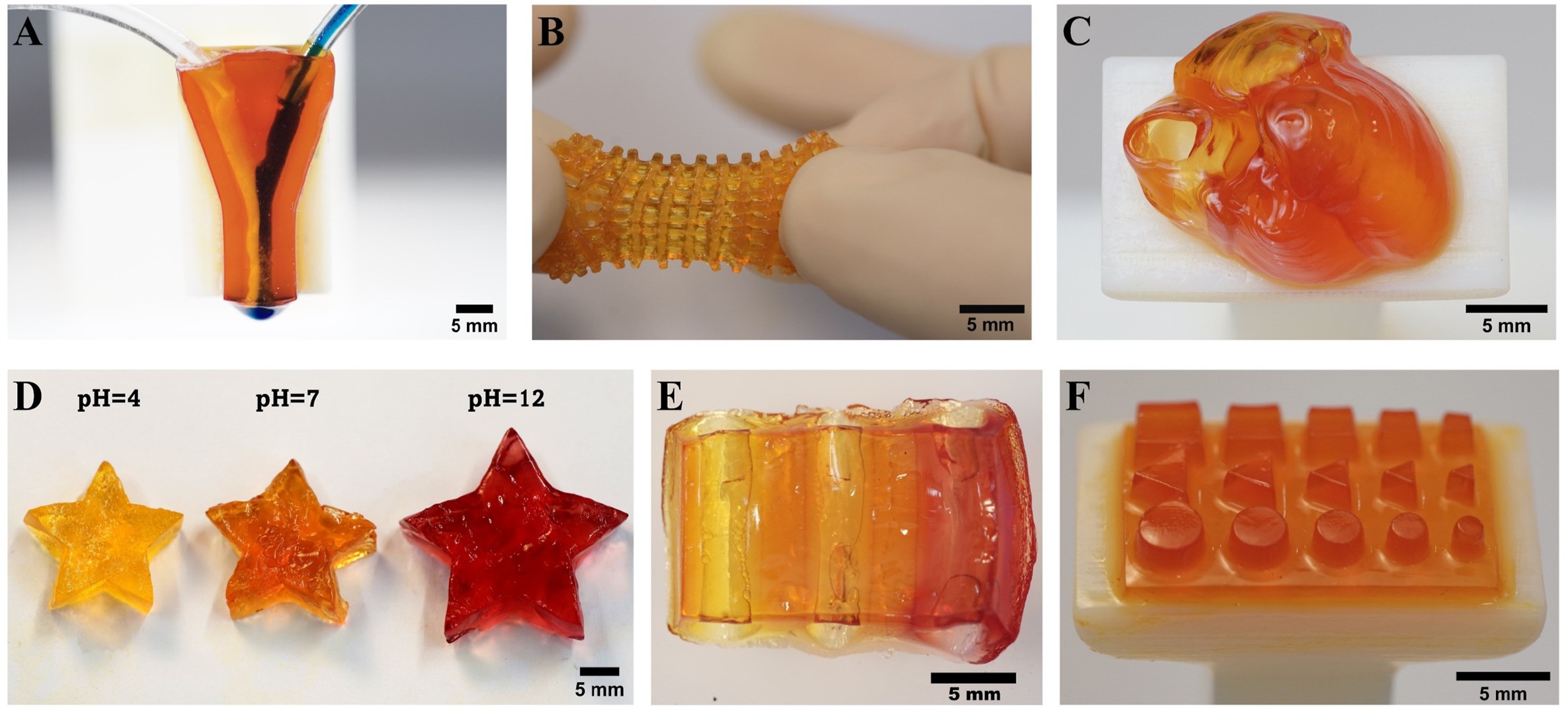 Digital light processing printing of non-modified protein-only compositions